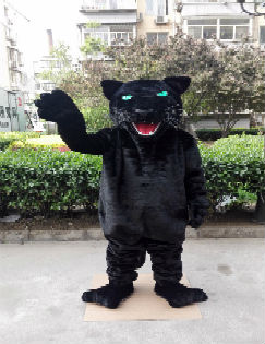 Puma Foto